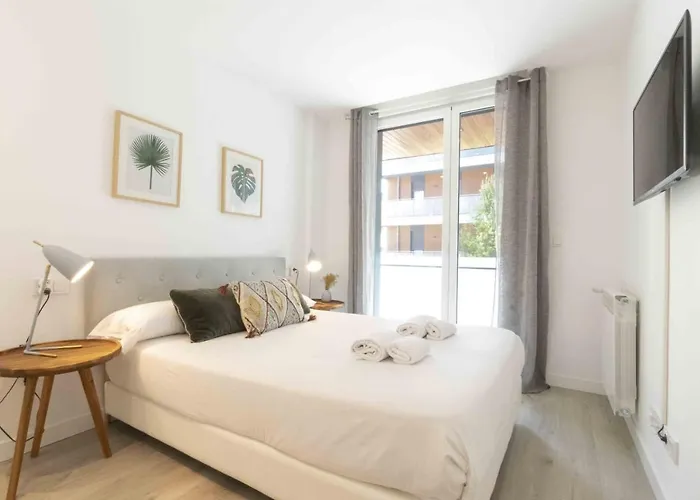 The Collection - Ilargi San Sebastián